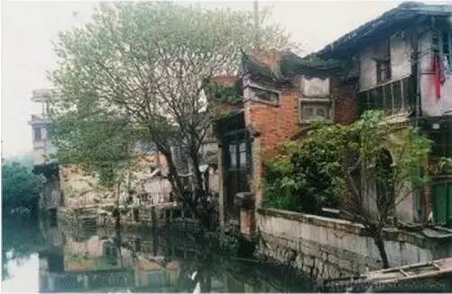 点击查看大图