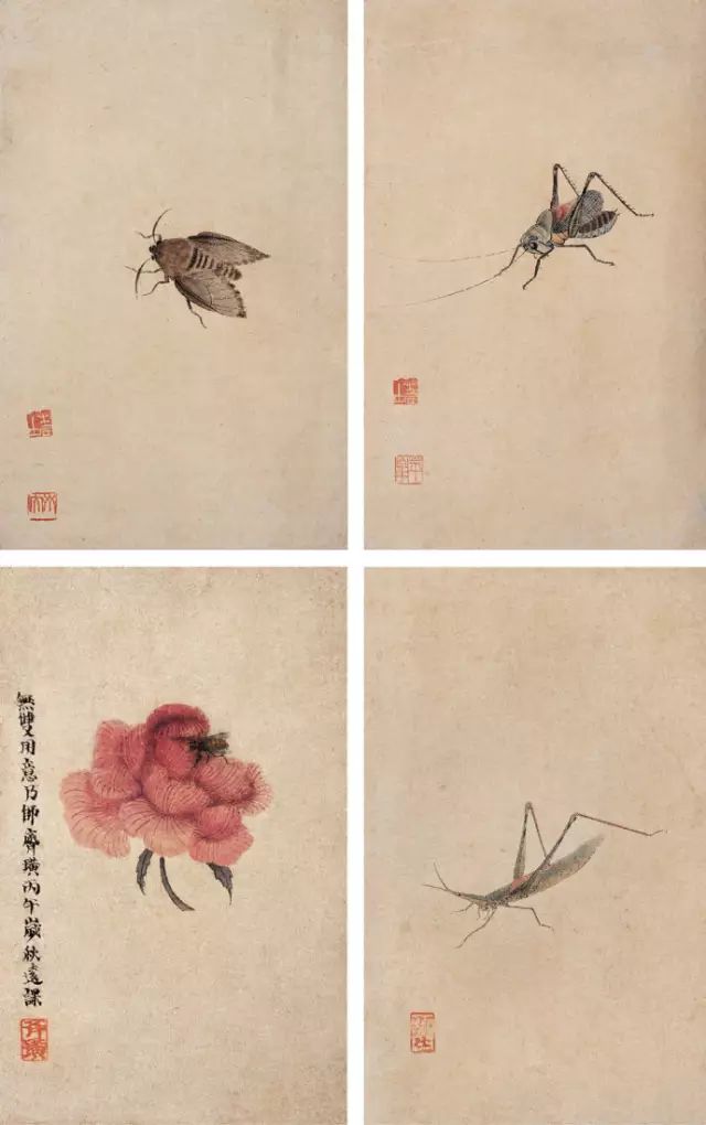 齐白石的花鸟鱼虫