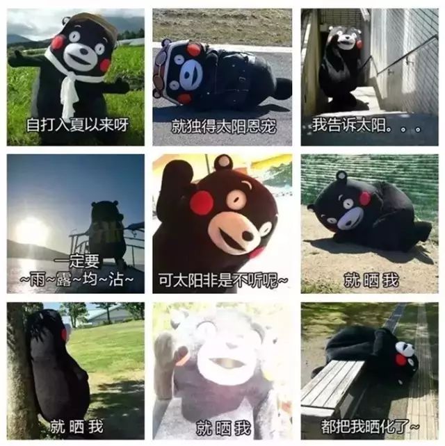 点击查看大图