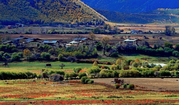 鬼脚七公众号,鬼脚七微信公众号,鬼脚七,鬼脚七