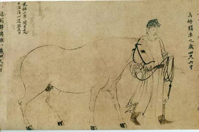 古代名马