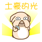 点击查看大图