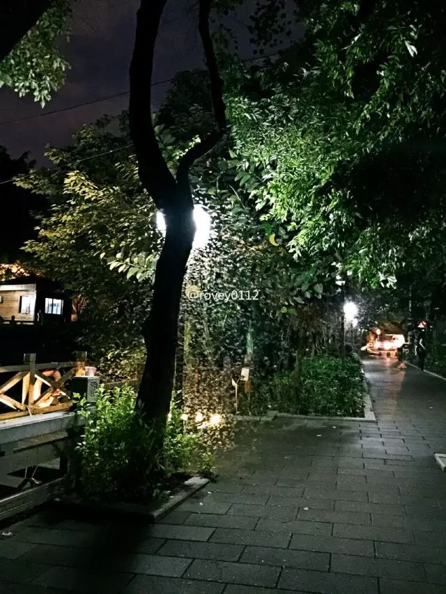 点击查看大图