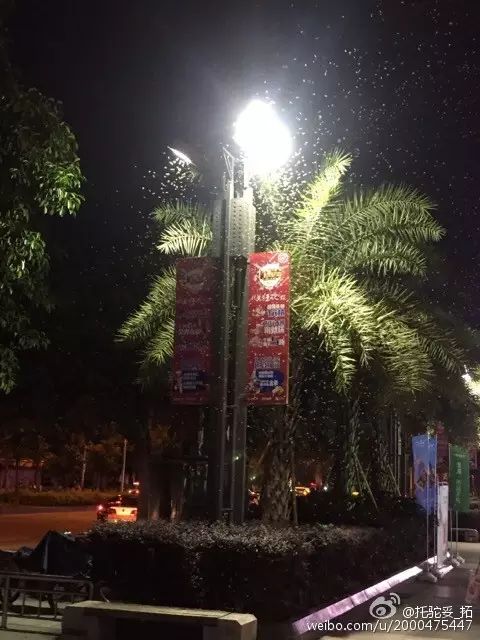 点击查看大图