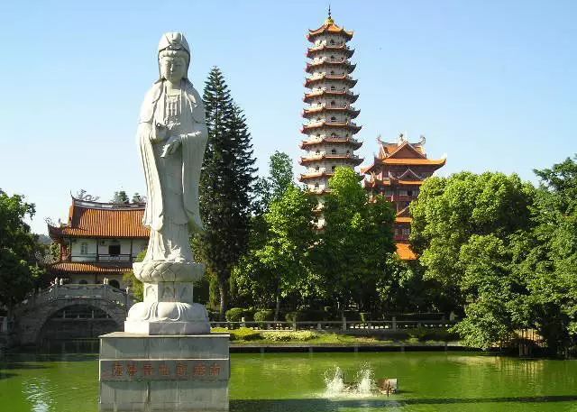 点击查看大图