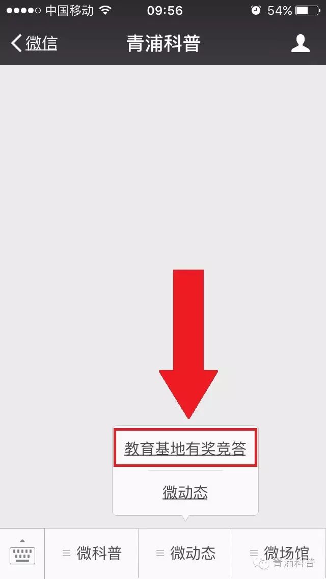 491050697380625356.jpg