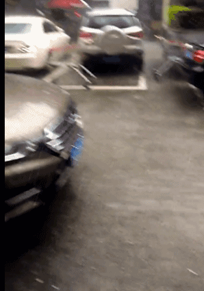 点击查看大图