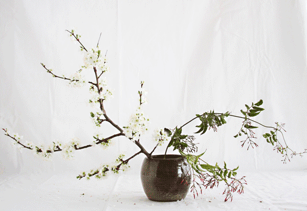 我的图片关键词 我的图片关键词