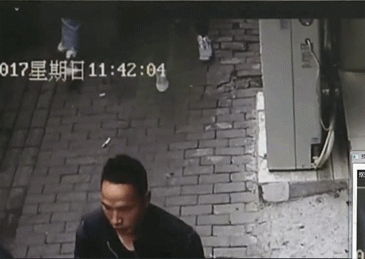 点击查看大图