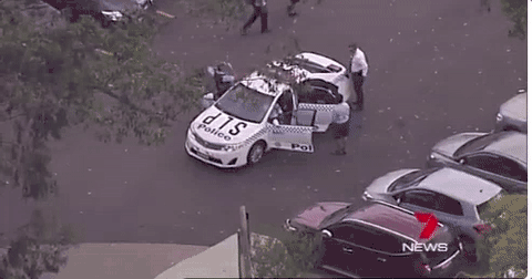 突发！西悉尼Bonnyrigg高中刚爆血案！亚裔学生携4刀返校 疯狂刺伤师生3人！ - 11