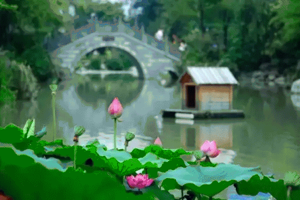 点击查看大图