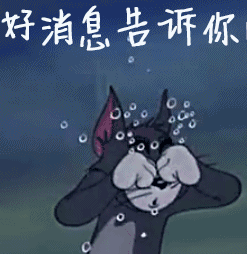 猫和老鼠