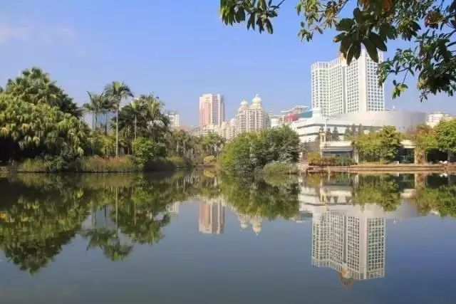 点击查看大图