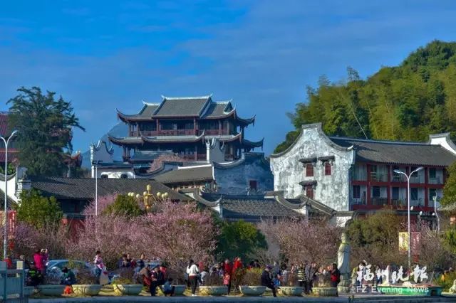 点击查看大图