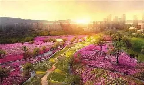 点击查看大图