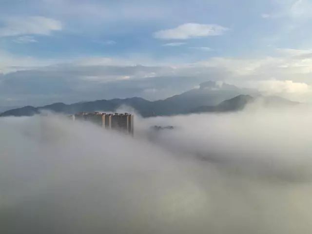 点击查看大图