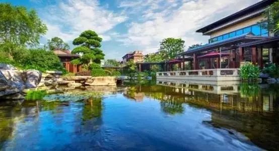 点击查看大图