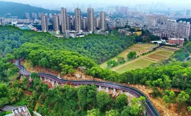 点击查看大图