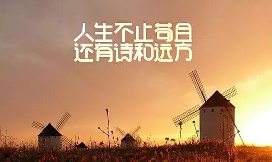 点击查看大图