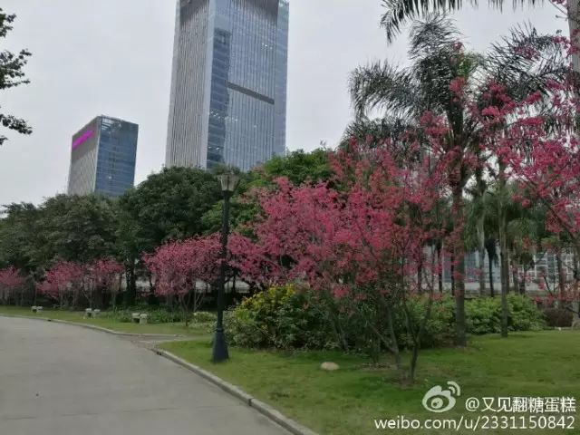 点击查看大图