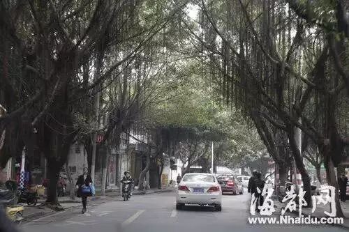 点击查看大图