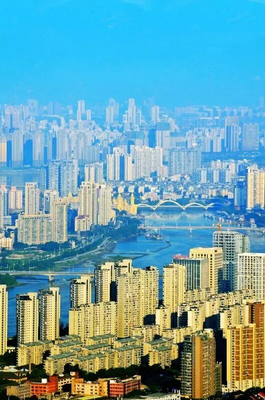 点击查看大图