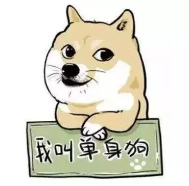 心酸！多少人在悉尼，却活得像只狗？！澳漂一族艰辛，什么时候才是尽头... - 3