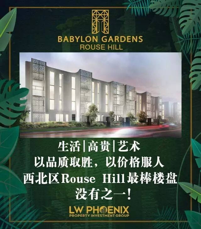 心酸！多少人在悉尼，却活得像只狗？！澳漂一族艰辛，什么时候才是尽头... - 38