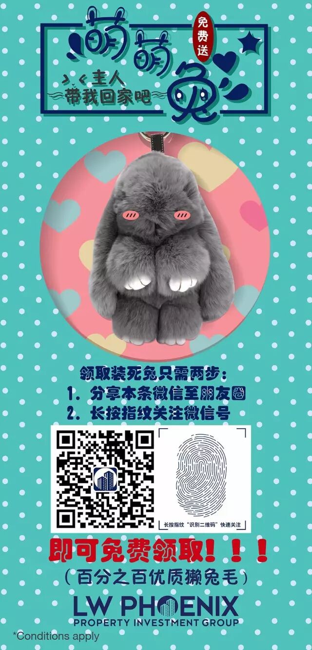 心酸！多少人在悉尼，却活得像只狗？！澳漂一族艰辛，什么时候才是尽头... - 43