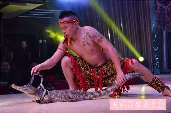 驯兽表演.jpg