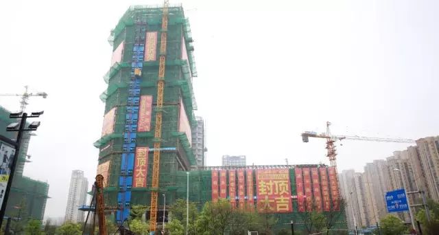 点击查看大图