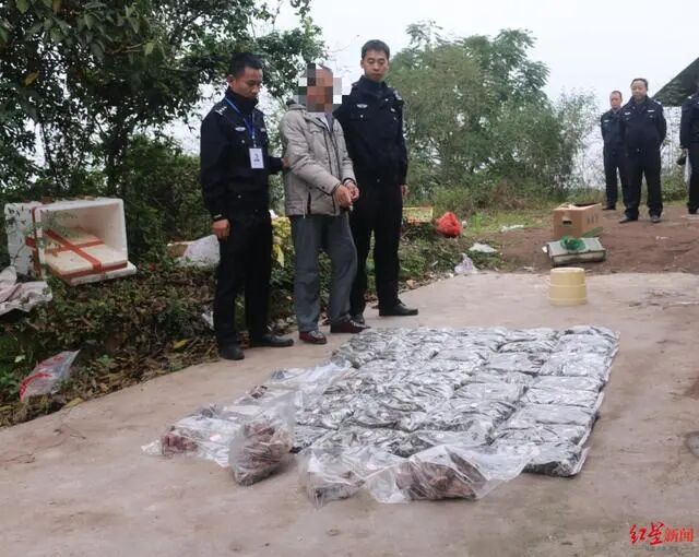 痛心！公安部督办广安特大非法狩猎案 猎鸟36万只价值近1亿元