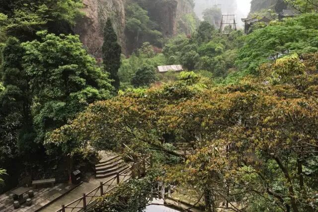 太棒了！再过几天，常州周边这些景点全部免费！