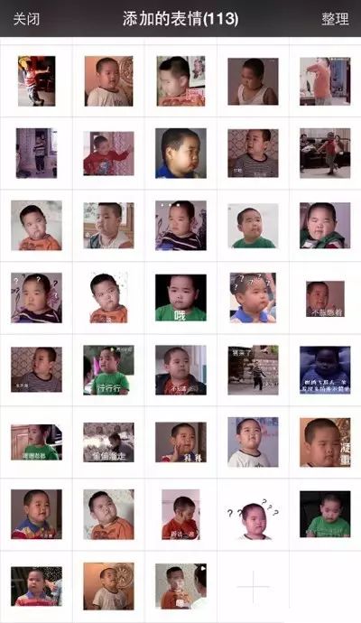 点击查看大图