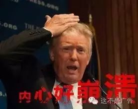“10系美家”首发上市，美家帮再掀互联网家装浪潮