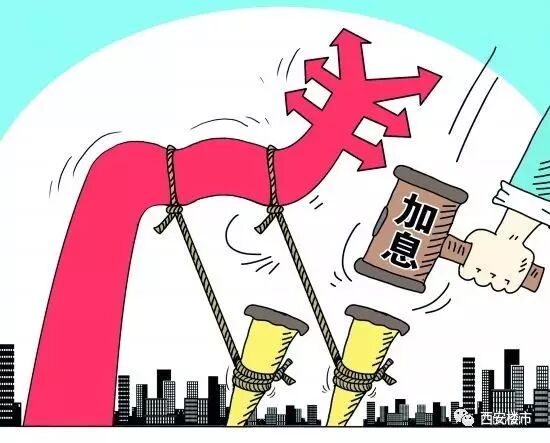点击查看大图