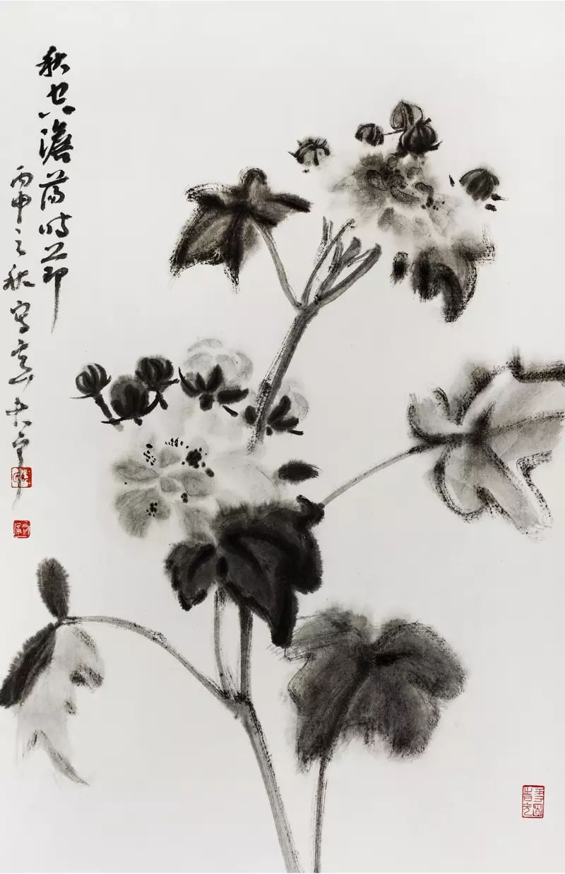IMG_0715 缩图.jpg