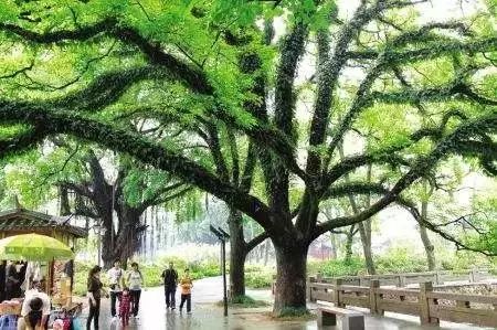 点击查看大图 点击查看大图