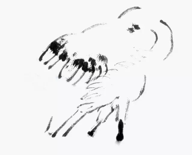 丹顶鹤、芦苇、雪景的画法(上)