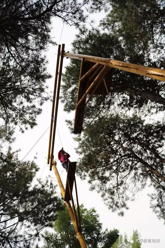 大华教育员工户外拓展训练,欢声笑语中体现着
