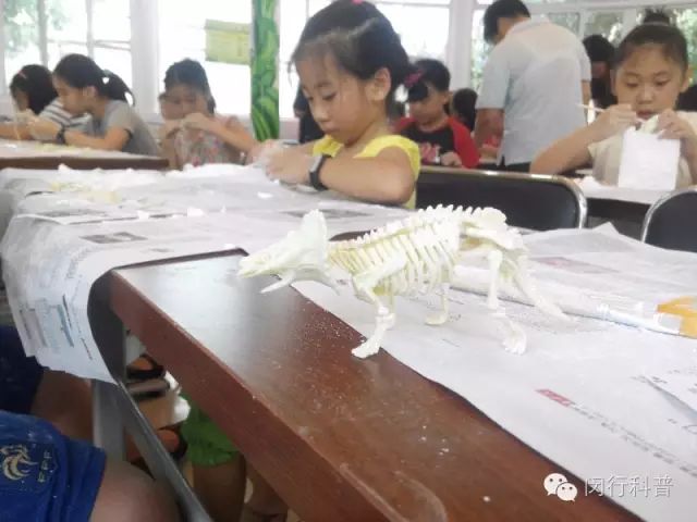挖掘恐龙 (3).jpg 挖掘恐龙 (3).jpg