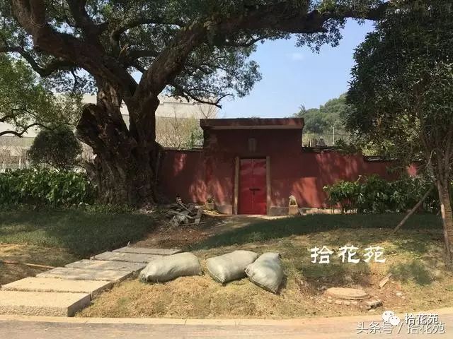 点击查看大图