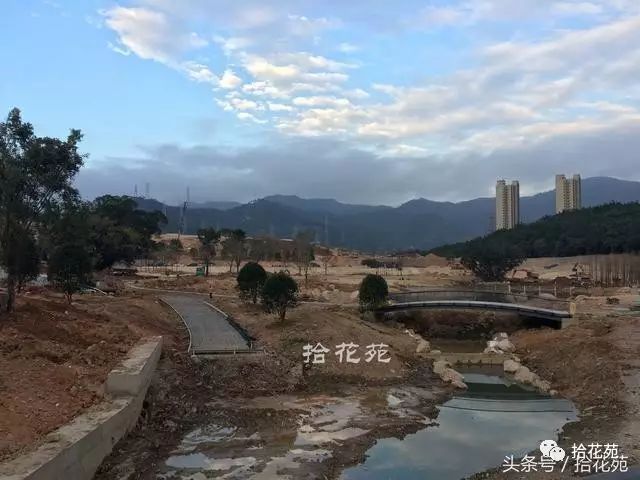 点击查看大图