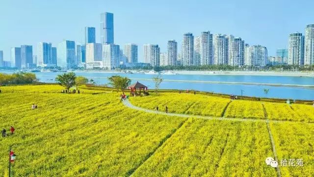 点击查看大图