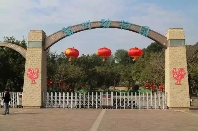 点击查看大图