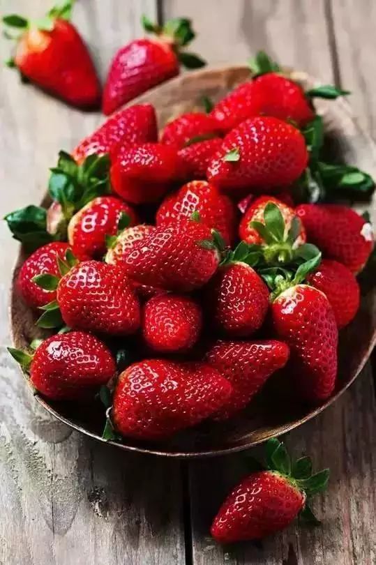 南京潮州菜馆|冰箱不是万能的,并不是什么吃都