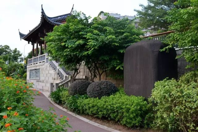 点击查看大图