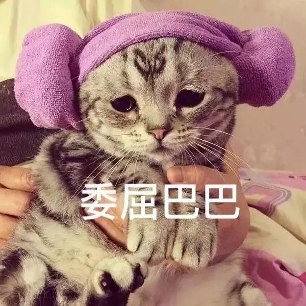 全世界最委屈巴巴的国家新西兰：你们忘记把我放进世界地图了...