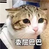 全世界最委屈巴巴的国家新西兰：你们忘记把我放进世界地图了...