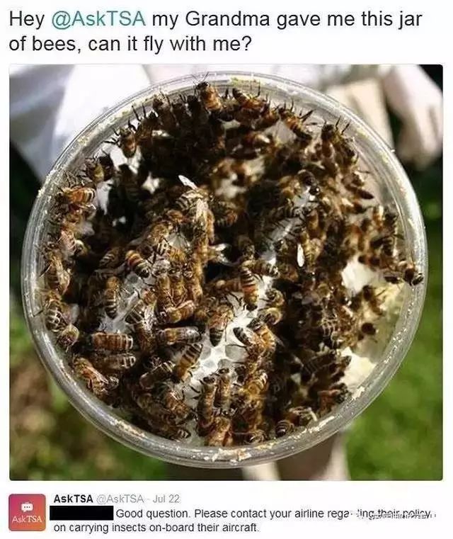 看过美国机场安检缴获的违禁品，才知道神马叫大开眼界！